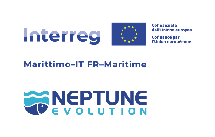 LOGO NEPTUNE EVOLUTION 30 - Houle Douce Association de spectacles aériens